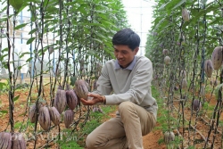 gia lai tuong khong co gi choi ma cung me man ngan ngo chang no ve