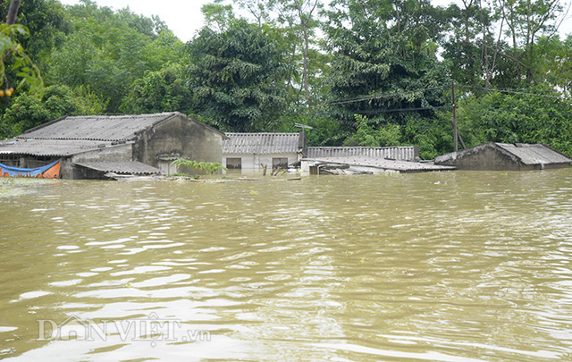 ha noi ngap ngay thu 9 nuoc mat nong dan hoa vao nuoc lu