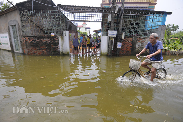 ha noi ngap ngay thu 9 nuoc mat nong dan hoa vao nuoc lu