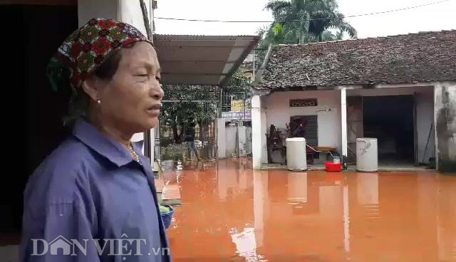 ha noi ngap ngay thu 9 nuoc mat nong dan hoa vao nuoc lu