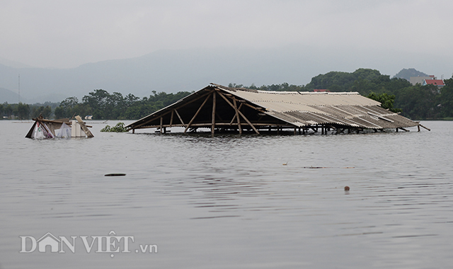 ha noi ngap ngay thu 9 nuoc mat nong dan hoa vao nuoc lu