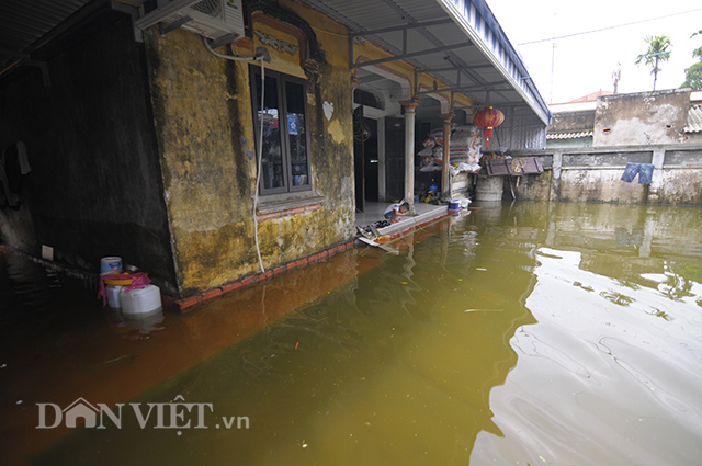 ha noi ngap ngay thu 9 nuoc mat nong dan hoa vao nuoc lu