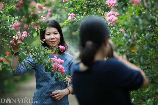 anh khu vuon 100 goc hoa tuong vi dep lung linh o ha noi