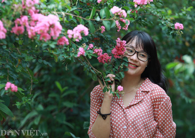 anh khu vuon 100 goc hoa tuong vi dep lung linh o ha noi