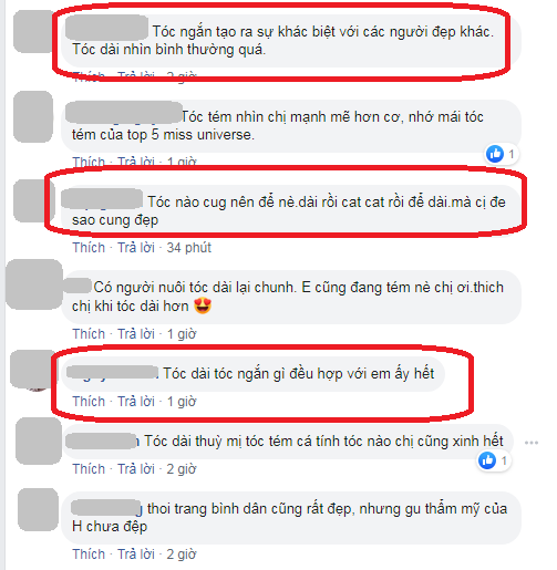 hoa hau hhen nie de toc dai dep nu tinh van bi che qua binh thuong