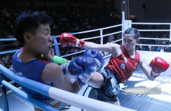 cuu bao long co the dau cao thu muay thai