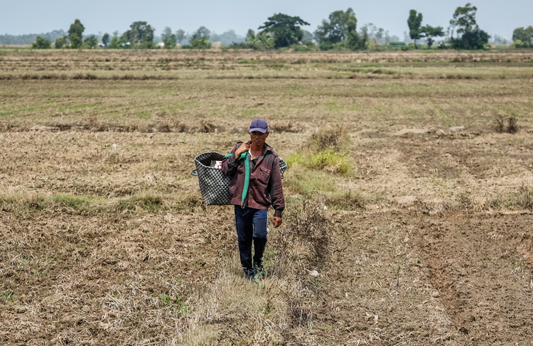 mien tay doi lu khi nuoc o thuong nguon dong mekong xuong thap