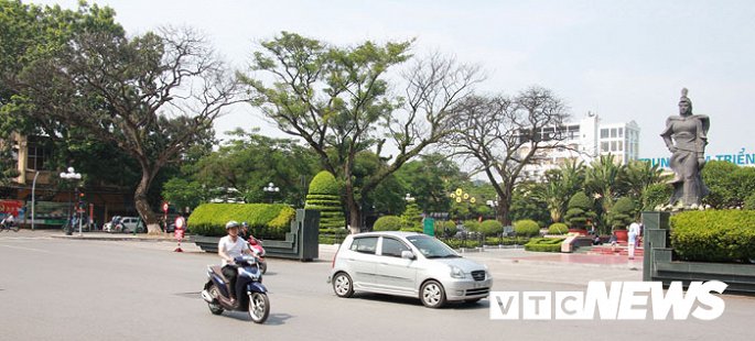 anh can canh nhung cay muong tram tuoi bong dung chet kho ben tuong dai nu tuong le chan o hai phong