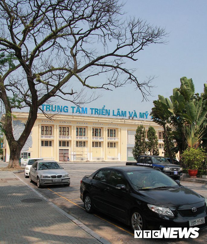 anh can canh nhung cay muong tram tuoi bong dung chet kho ben tuong dai nu tuong le chan o hai phong