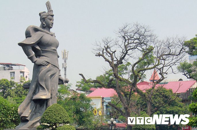 anh can canh nhung cay muong tram tuoi bong dung chet kho ben tuong dai nu tuong le chan o hai phong