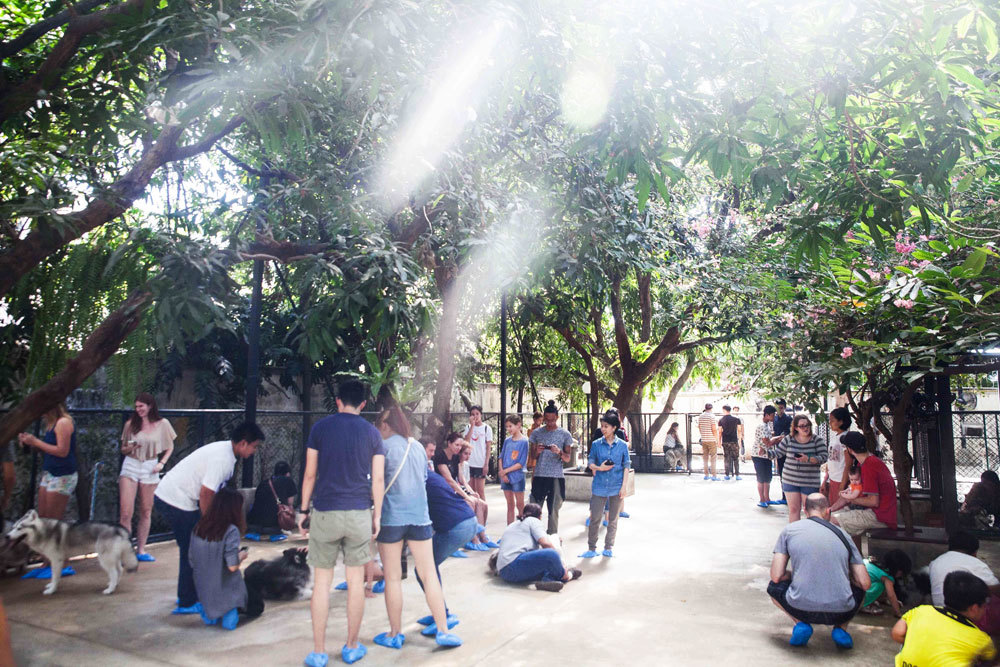 quan ca phe khien tin do yeu cho tan chay o thai lan