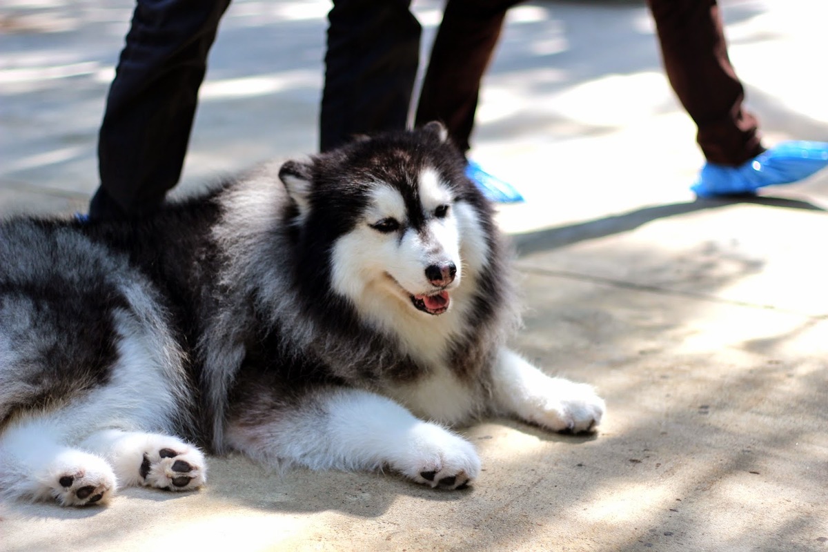 quan ca phe khien tin do yeu cho tan chay o thai lan