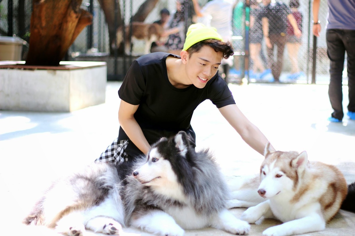 quan ca phe khien tin do yeu cho tan chay o thai lan