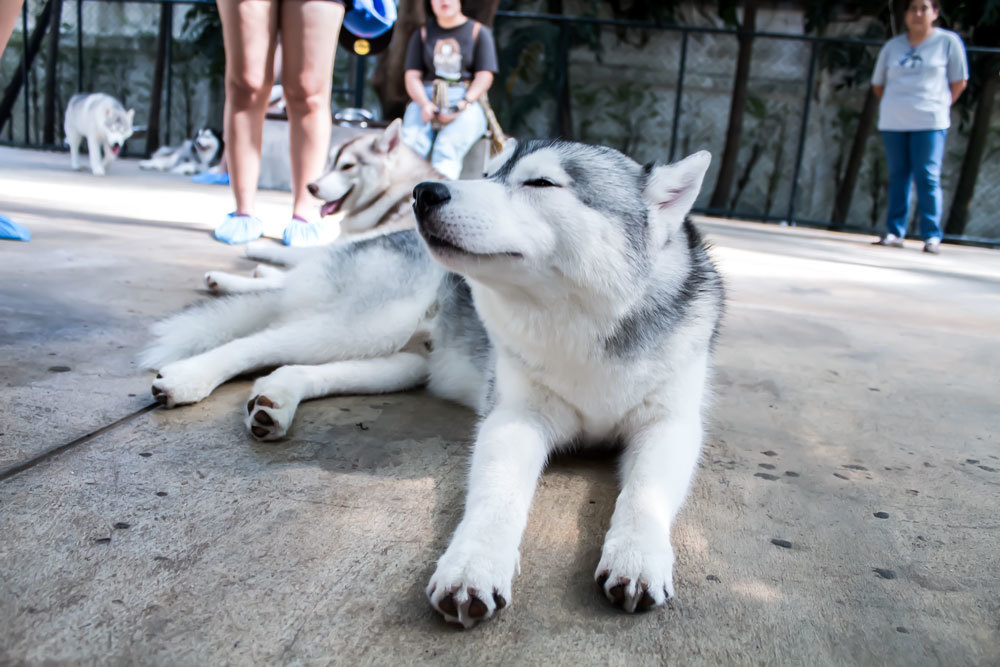 quan ca phe khien tin do yeu cho tan chay o thai lan