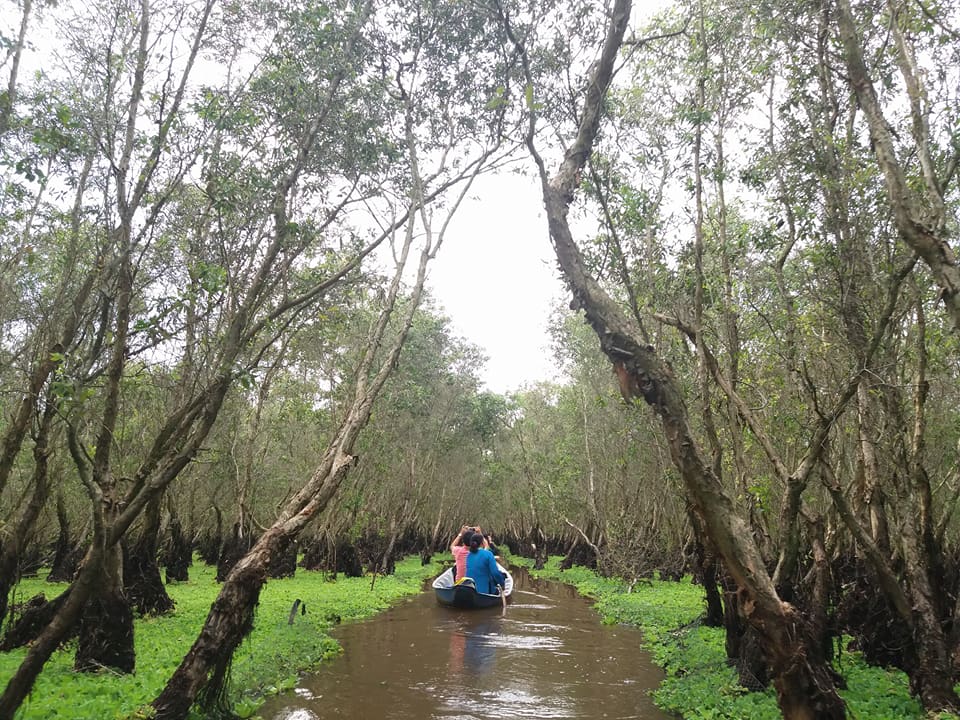 tan huong thien nhien xanh muot mat o rung tram tra su