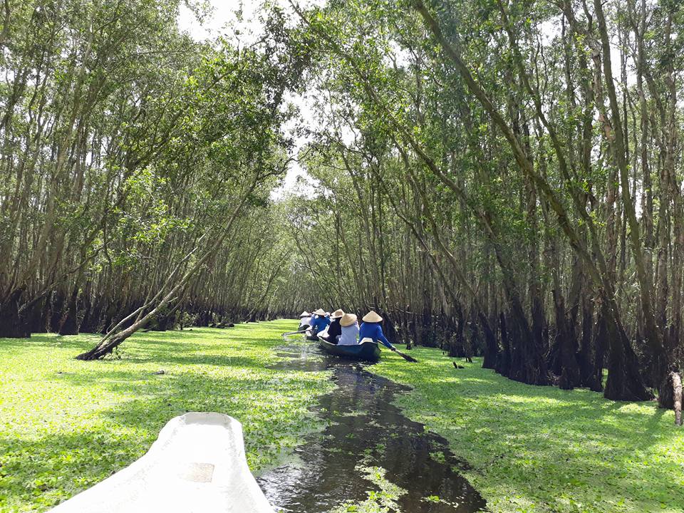 tan huong thien nhien xanh muot mat o rung tram tra su
