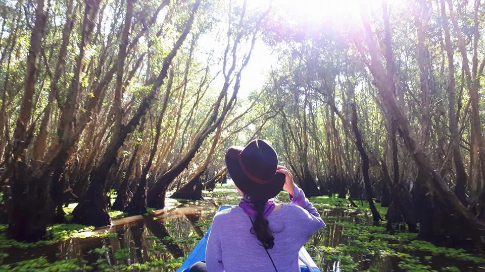 tan huong thien nhien xanh muot mat o rung tram tra su