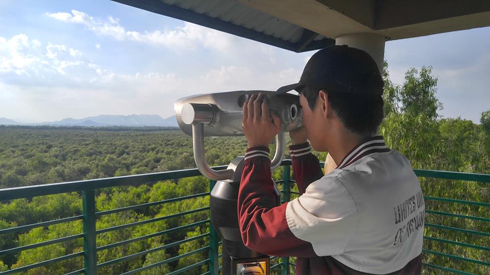 tan huong thien nhien xanh muot mat o rung tram tra su