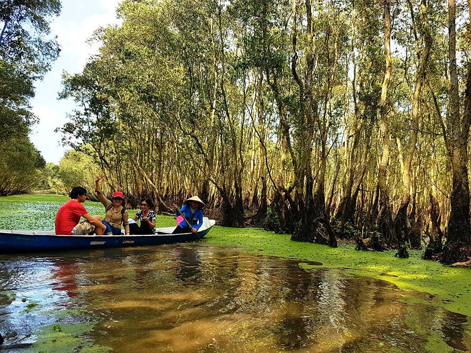 tan huong thien nhien xanh muot mat o rung tram tra su