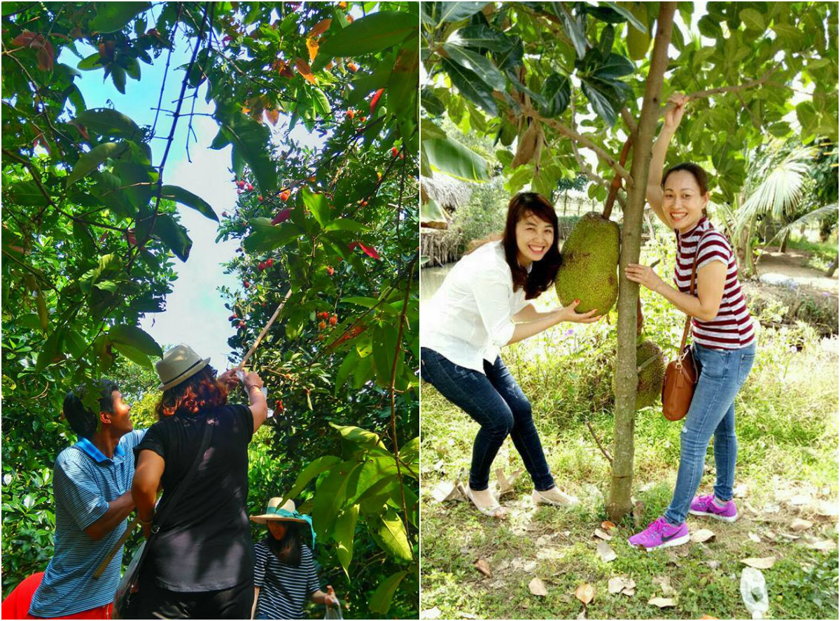 ngo ngang mien tay song nuoc thu nho giua long vung tau