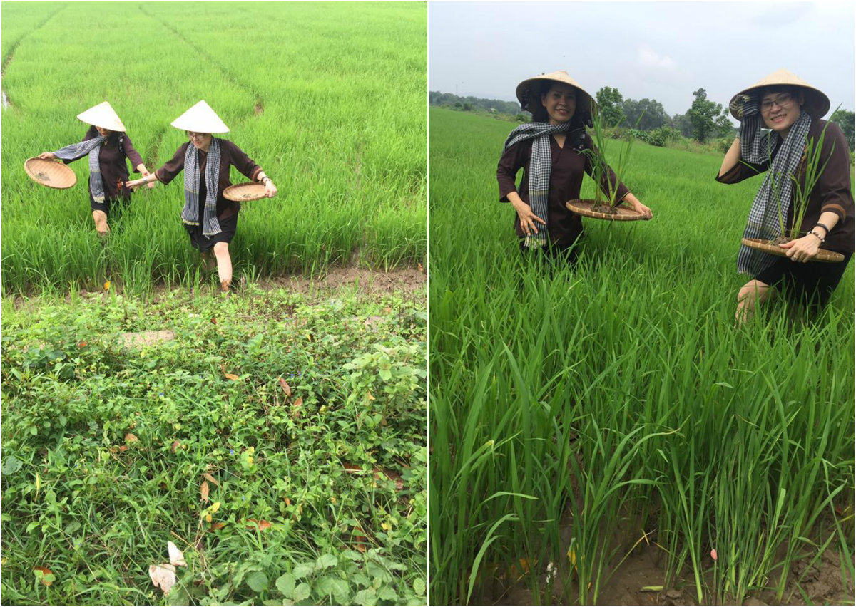 ngo ngang mien tay song nuoc thu nho giua long vung tau
