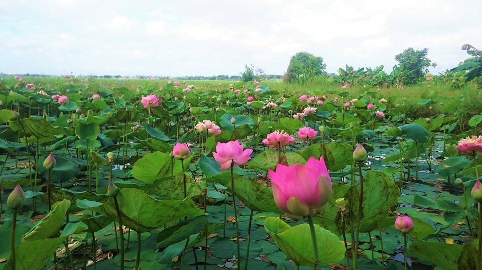 ngo ngang mien tay song nuoc thu nho giua long vung tau