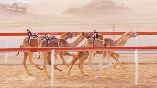 nhung mon the thao pho bien o uae