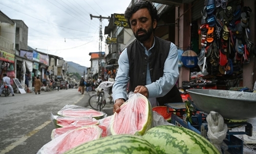 nguoi pakistan tra gia vi tinh yeu tui nhua