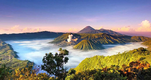 khong phai la ao anh ngon lui lua ruc chay mau xanh nay hoan toan co that