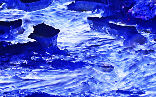 khong phai la ao anh ngon lui lua ruc chay mau xanh nay hoan toan co that