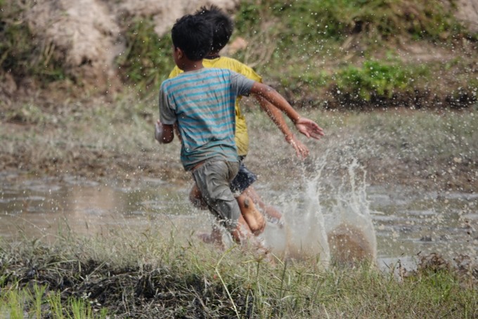 hoi dua bo cua dong bao khmer