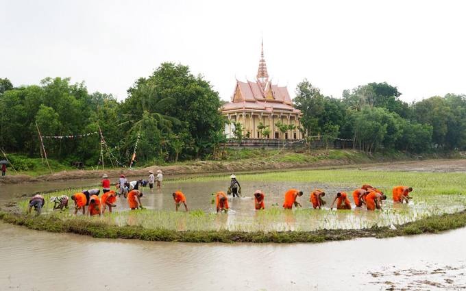 hoi dua bo cua dong bao khmer