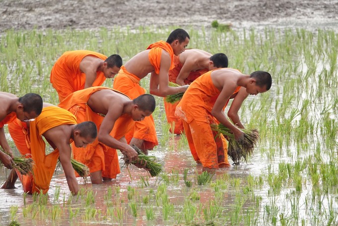 hoi dua bo cua dong bao khmer