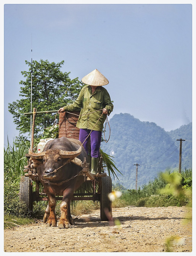 anh khung canh ngay mua vang ruc o xu nghe