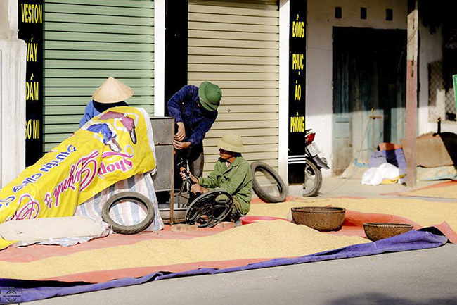 anh khung canh ngay mua vang ruc o xu nghe