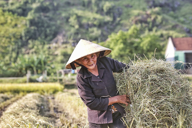 anh khung canh ngay mua vang ruc o xu nghe