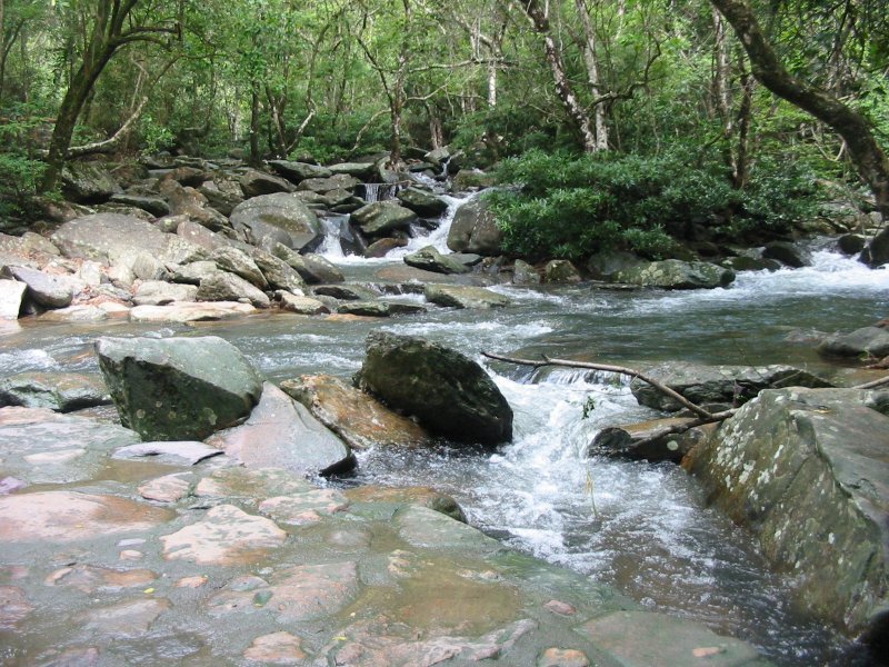 cau chuyen dang sau nhung ngoi nha ma am rung ron chau a