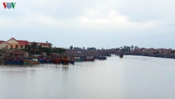 Quảng Bình cứu thành công tàu gặp nạn khi đang trên đường tránh bão