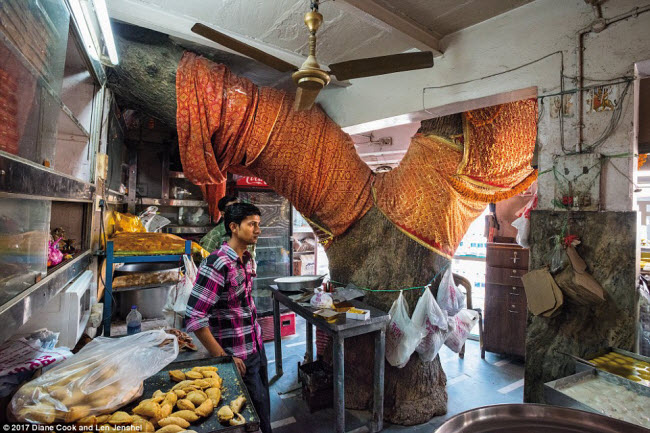 ngo ngang truoc nhung cay co thu ky di nhat hanh tinh