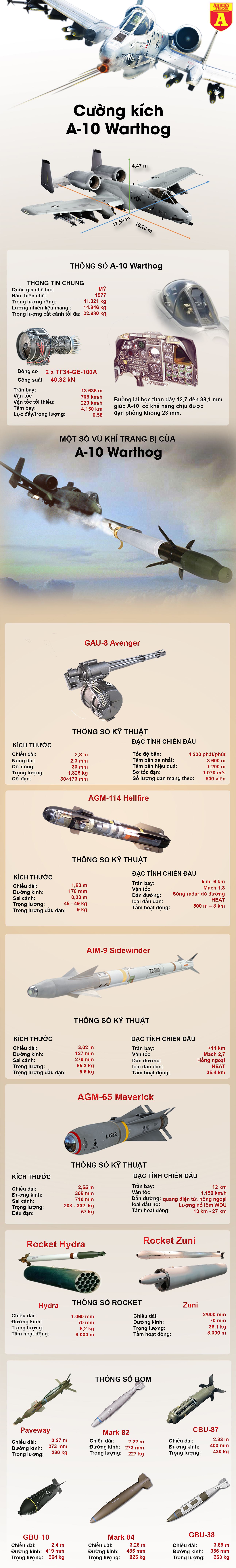 infographic cuong kich lon loi a 10 my sap tai xuat de huy diet khung bo al qaeda va taliban