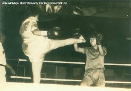 vo su tu thien va don bat quai con tran ap giang ho