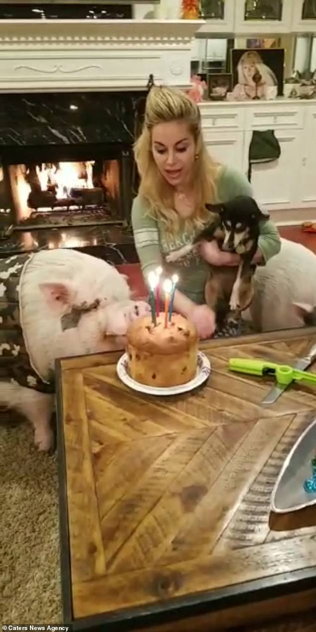 chu lon sang chanh nhat the gioi voi do hieu gia ngan do