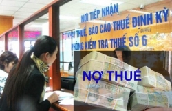 tp can tho thu hoi phu hieu 517 xe van tai khach hang hoa