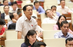 ma vach tai san