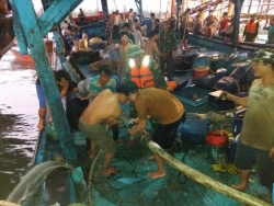 51 ngư dân gặp nạn trên biển, 2 người bị thương nặng phải nhập viện