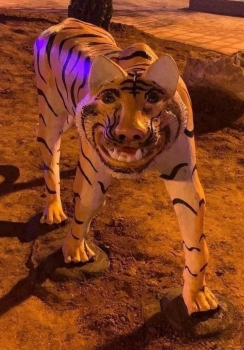 Tượng hổ "gầy nhom, tiều tuỵ, nhìn giống chó" ở Phú Thọ: Chính quyền lên tiếng