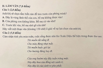 Đề Văn lớp 11 gây tranh cãi