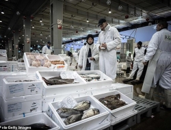 Pháp: Chợ bán buôn thực phẩm lớn nhất thế giới bị trưng dụng làm nhà xác tạm thời