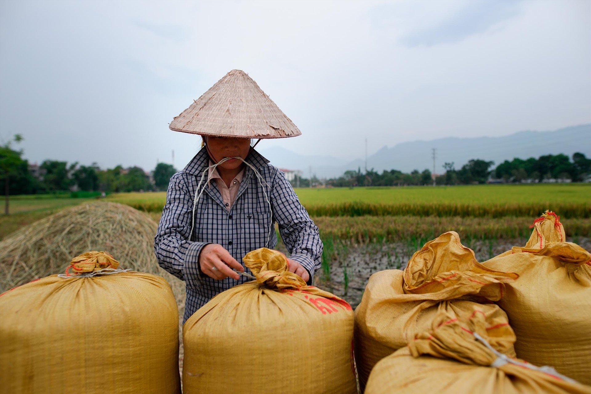 bo cong thuong noi gi ve viec khong tiep thu y kien cua bo tai chinh