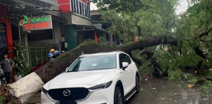 Mưa lớn khiến nhiều cây cối, đường sá ở Quảng Trị gãy đổ, sạt lở nghiêm trọng  -0